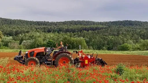 Dans les champs