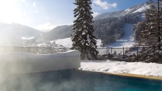 L'Hermine Blanche piscine