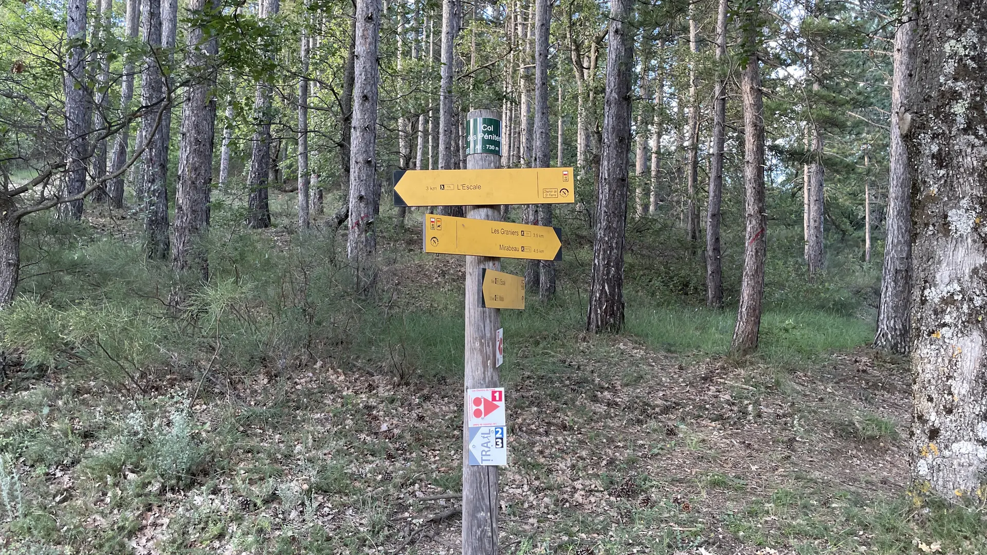 Trail n°2 - Le Pic Bernard