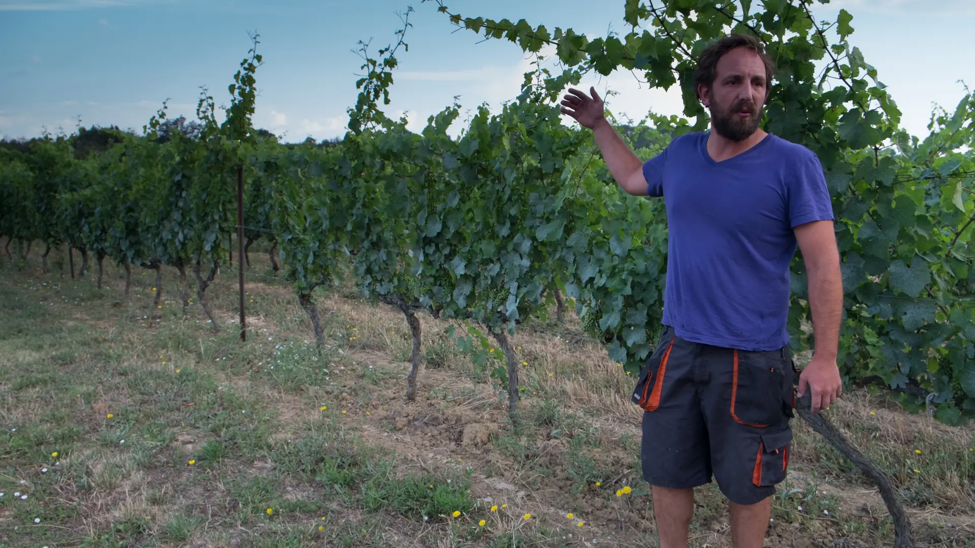 Domaine Deleuze Rochetin, Baptiste Cartier, vigneron, vin AOP Duché d'Uzès, IGP Pays d'Oc