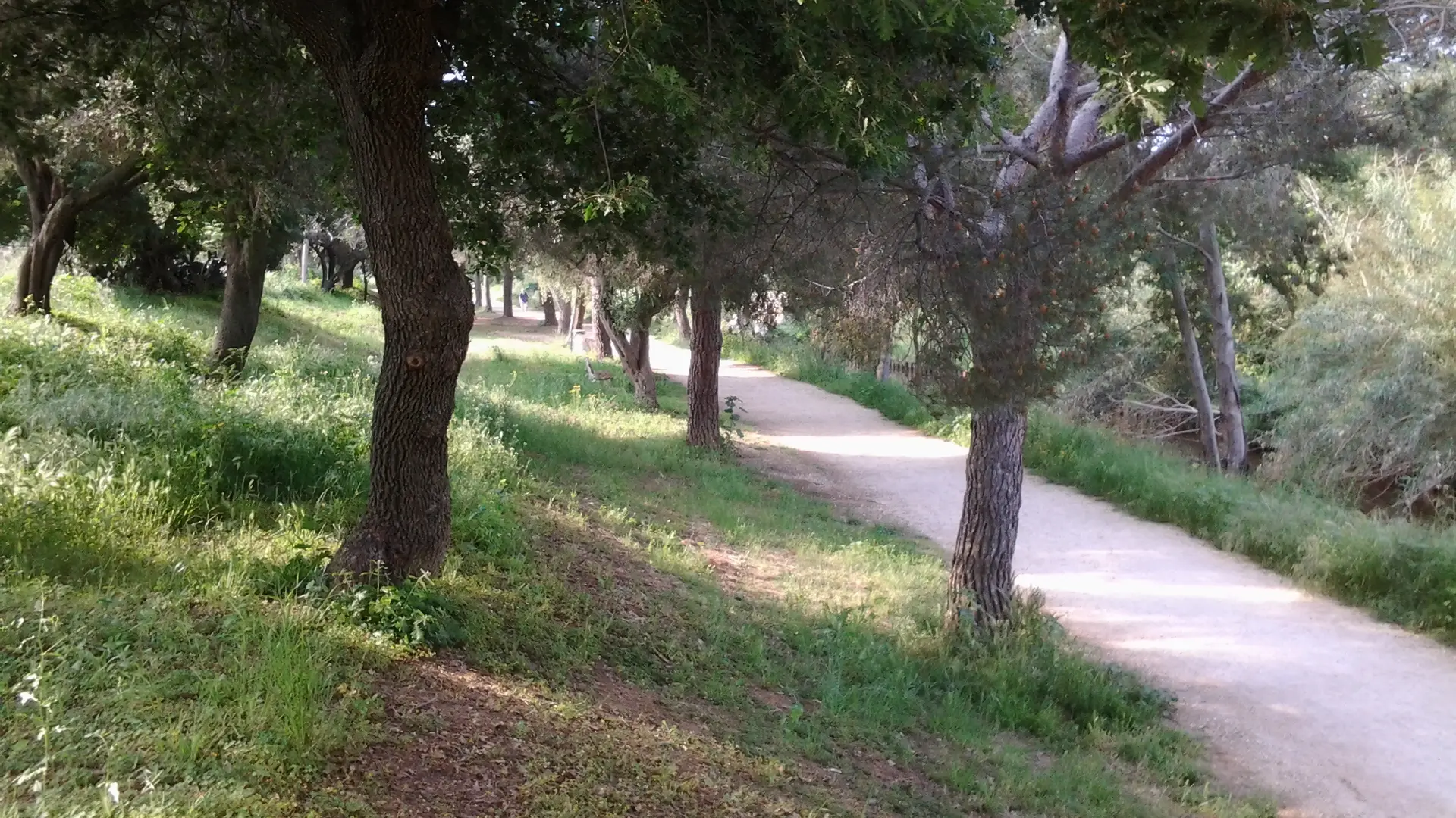 Sentier de randonnée