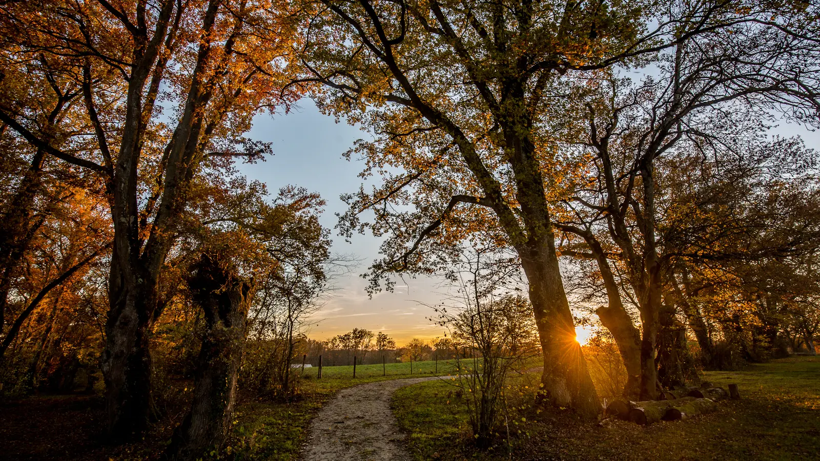 Cheminement au sein du bocage Bressan