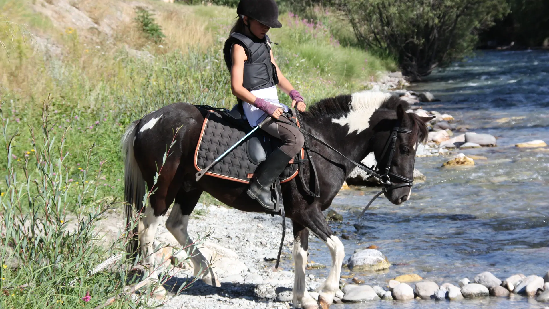 poney cheval petit enfant 5 ans