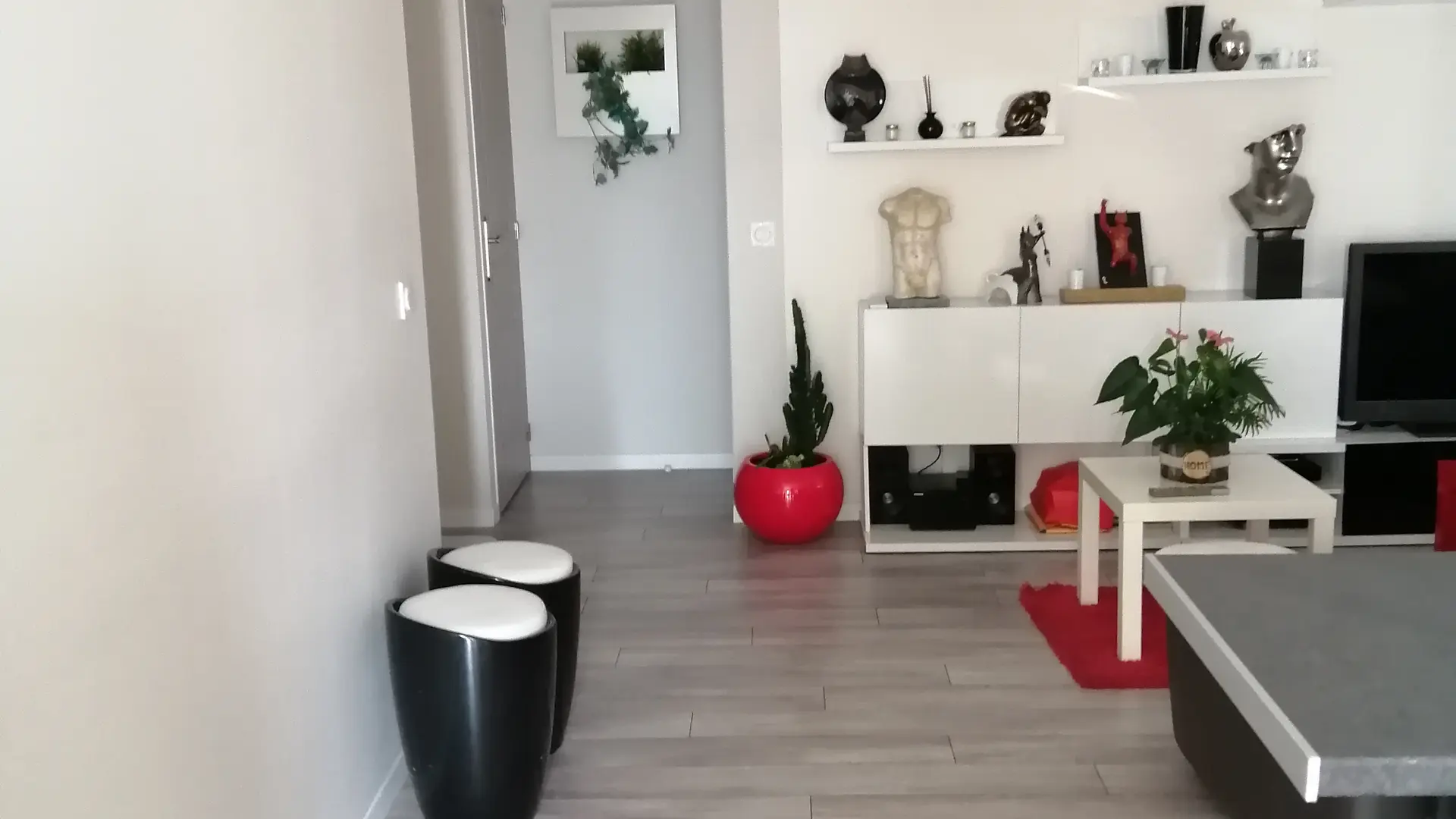 Pièce de vie