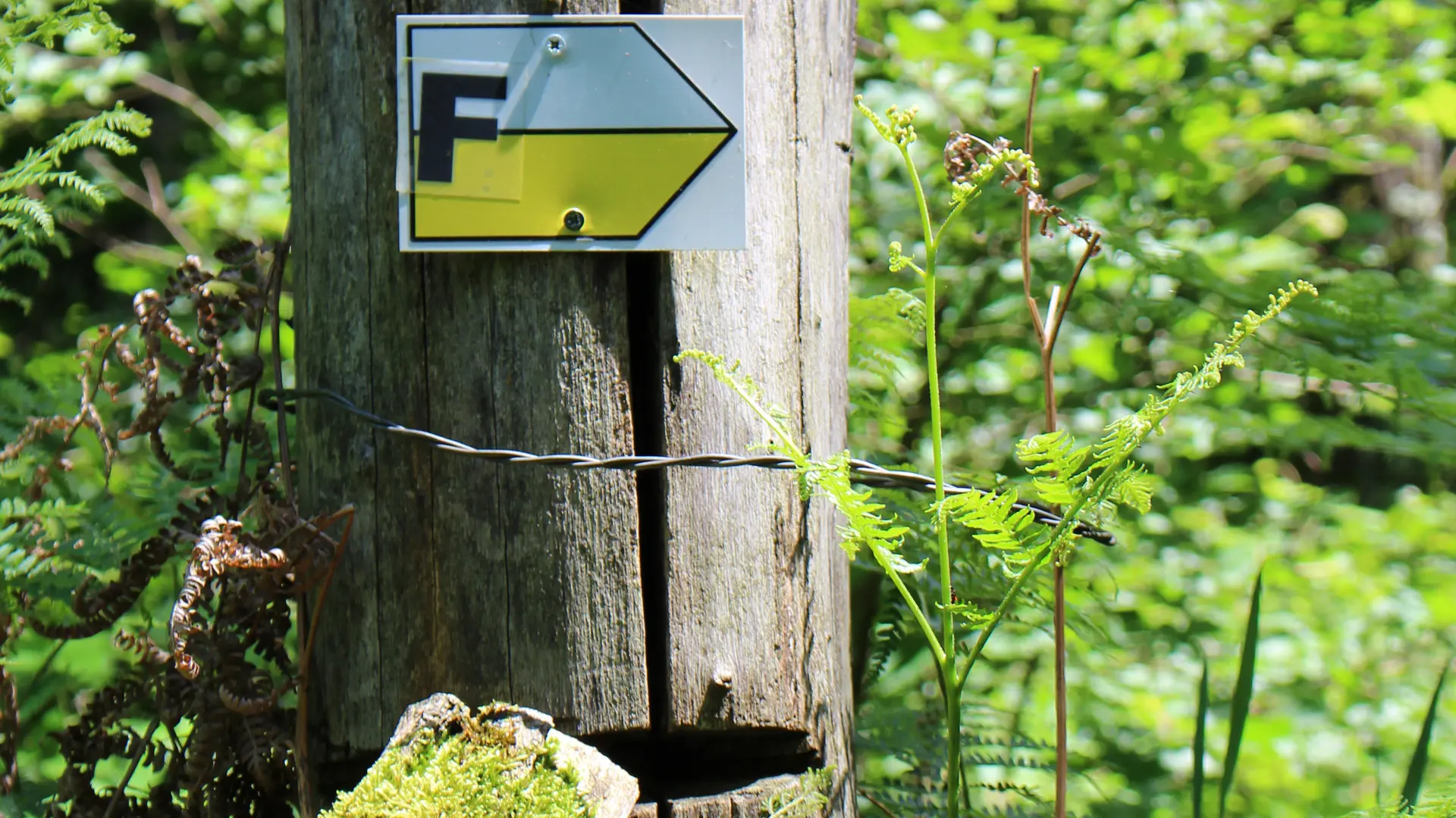 Balisage jaune et blanc