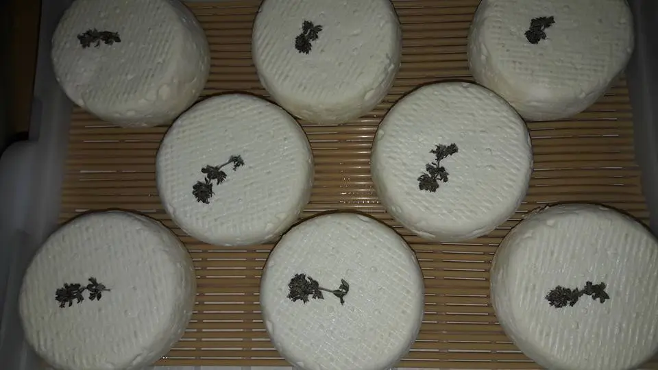 fromage aux herbes