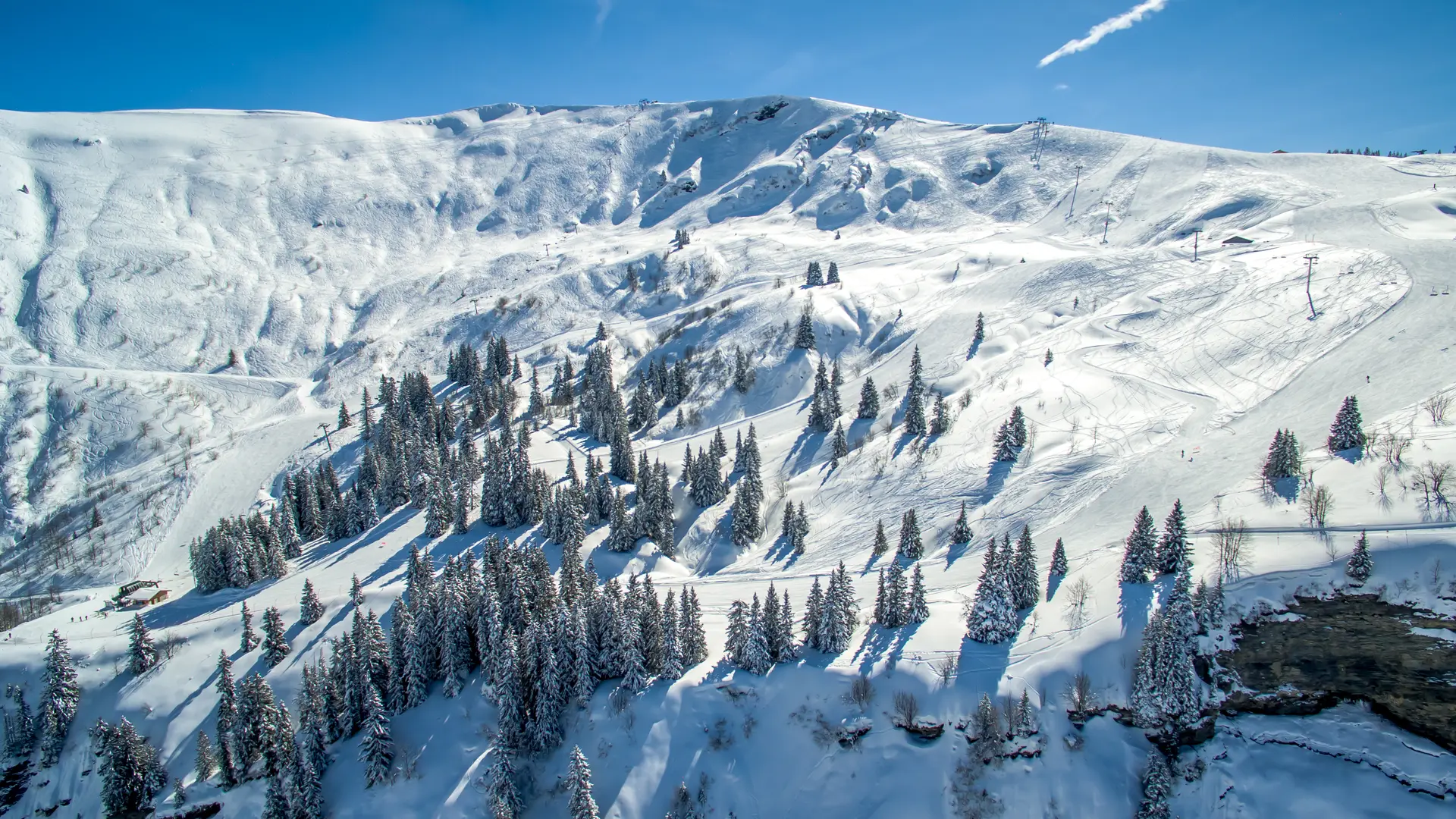 Pistes et zone hors piste freeride