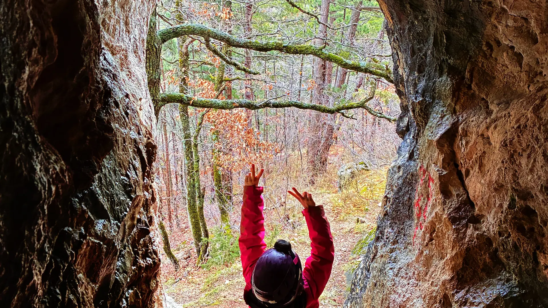 Une aventure unique pour les explorateurs en herbe  !