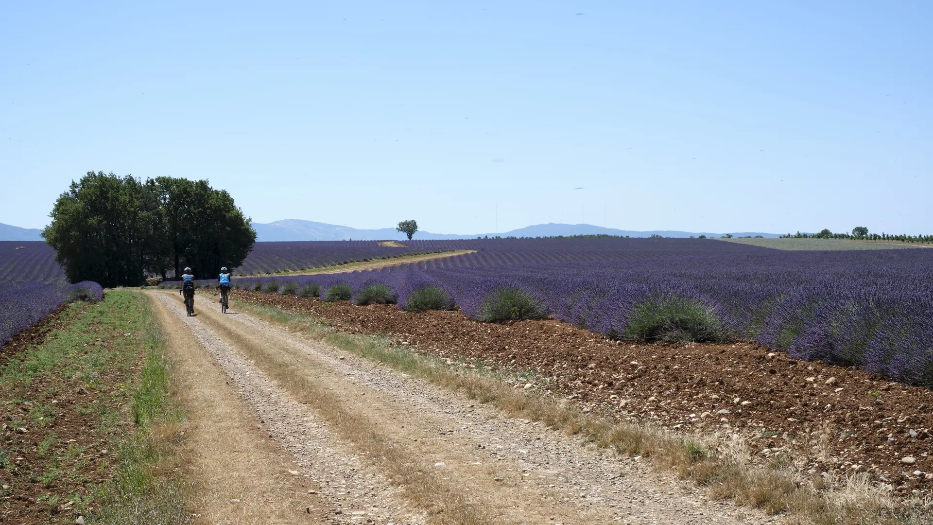 Séjour gravel Provence-Verdon