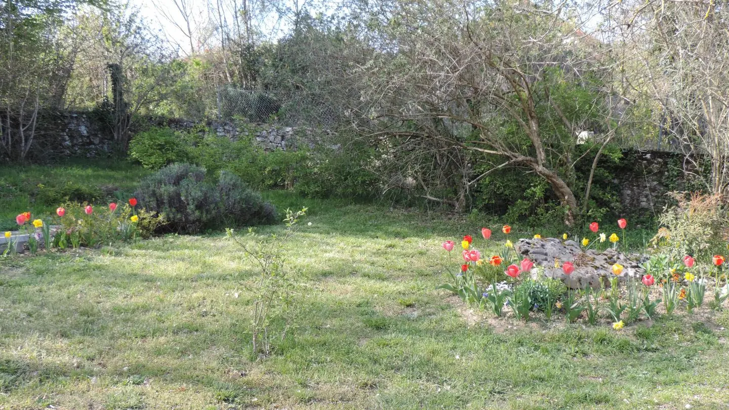 le printemps est là