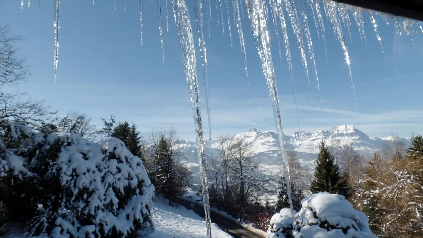 La beauté de l'hiver