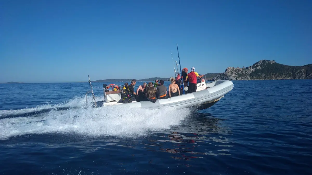 Plongée avec le Gîte de plongée du Gapeau à Hyères