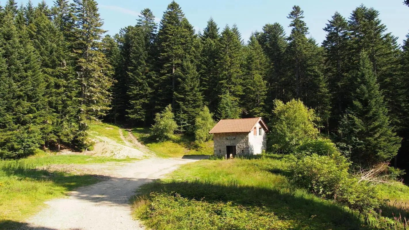 inombrables ballades dans les bois de sapins. le bessat est au centre de plusieurs GR. ci dessus le lieu dit  la maison du garde.
