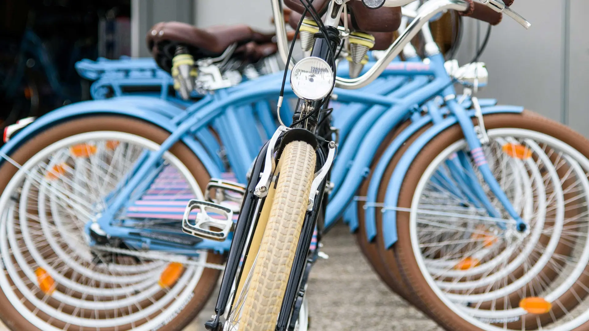 Nos vélos bleus