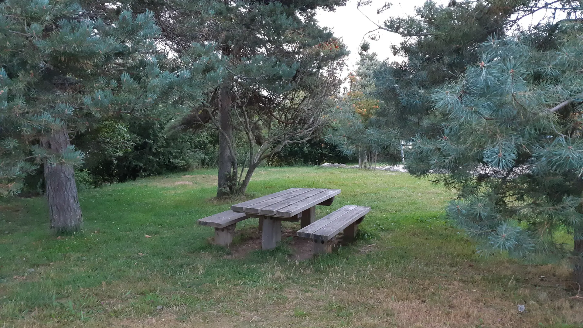 Aire de pique-nique à Montarcher