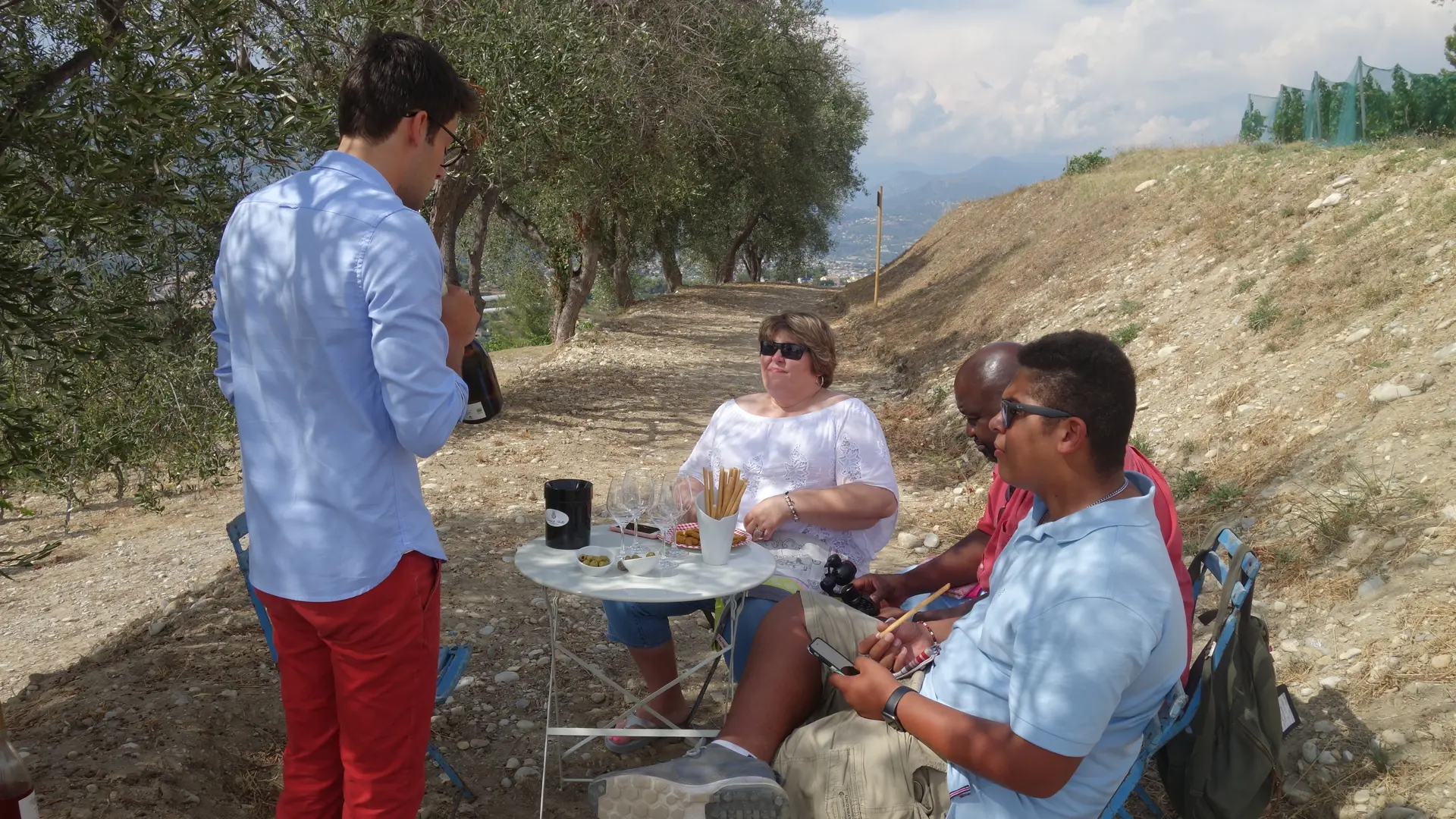 Wine tours & experiences