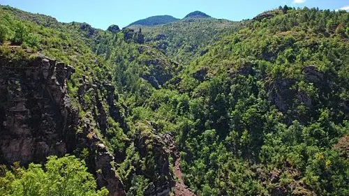 Les gorges de Daluis, le canyon de l'Amen, important couvert forestier.