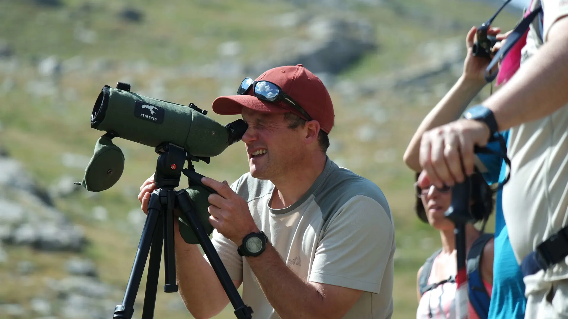 Observation des chamois