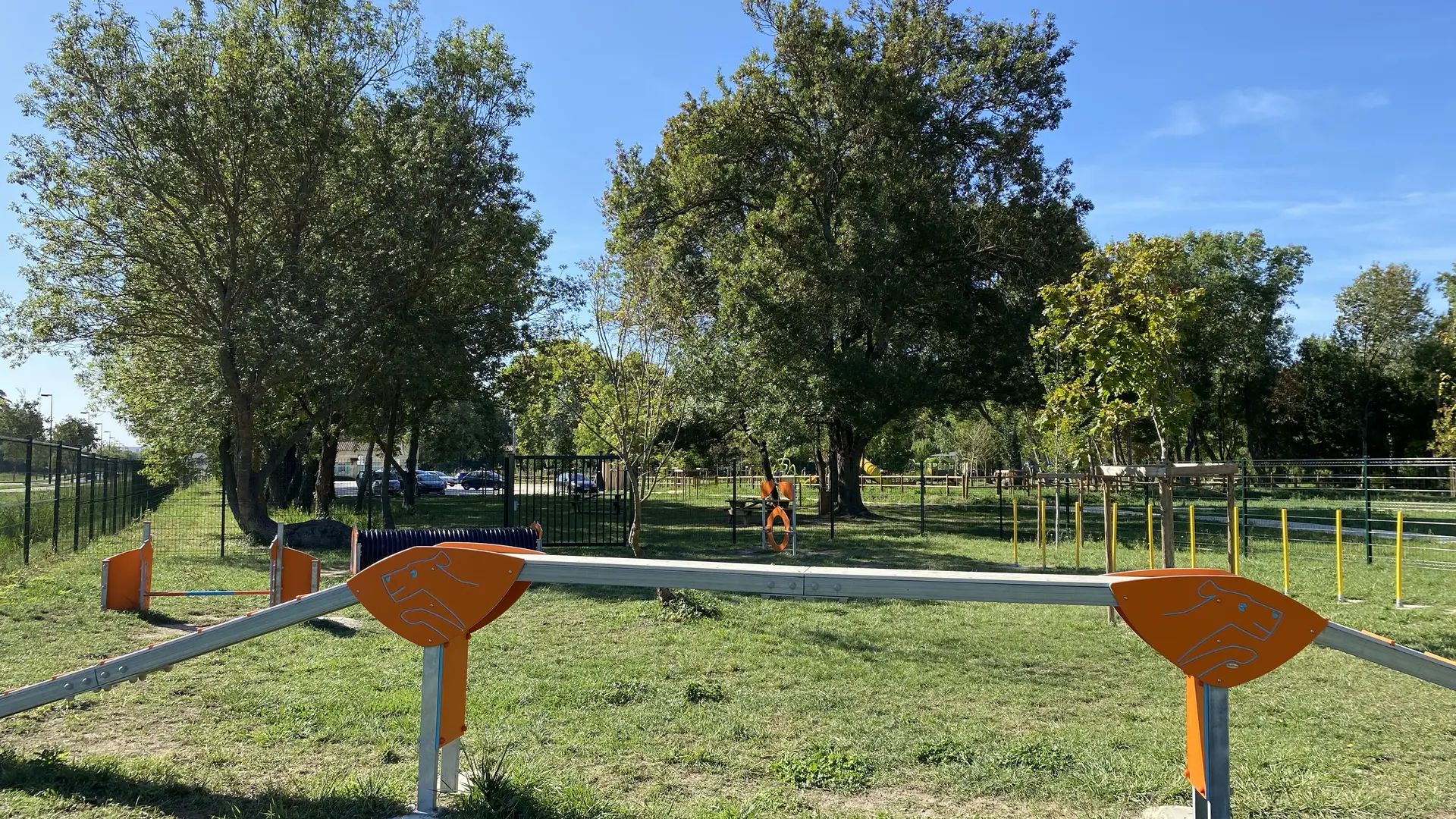 Agility : aire de jeux pour les chiens