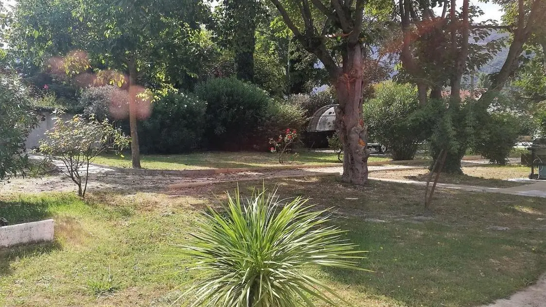 Jardin