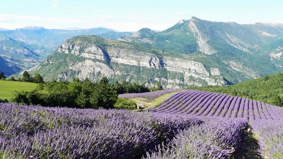 Location de vacances : Aiguebelle à La Faurie