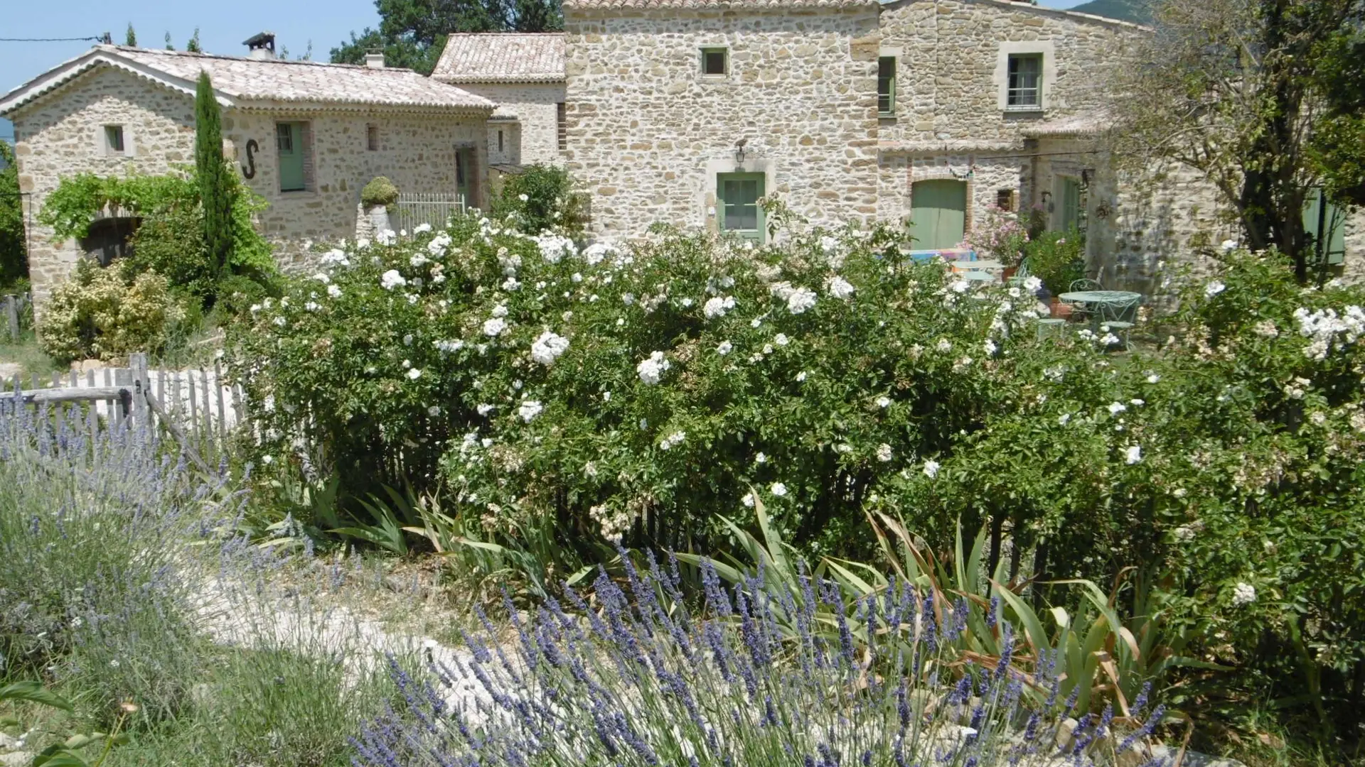 Vue d'ensemble rose et lavande