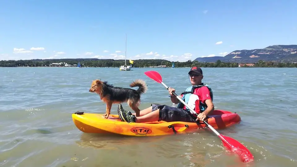 kayak