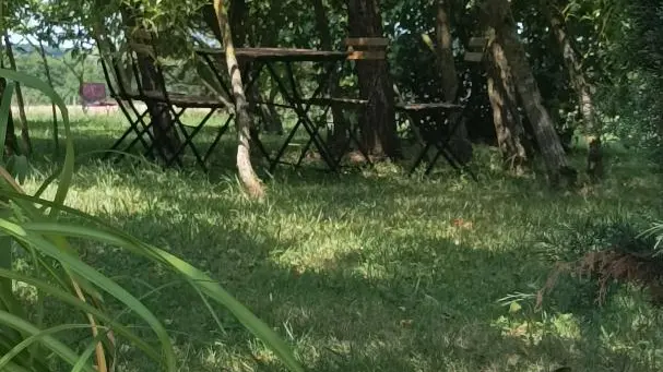 Accès au cercle des fées pour profiter d'un espace ombragé et déjeuner sous les arbres en forme de cercle