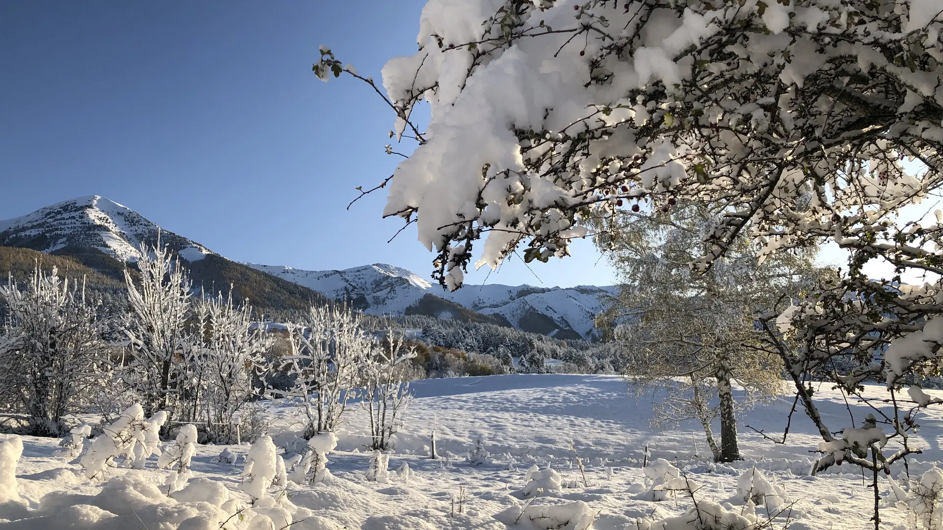 Extérieur en hiver