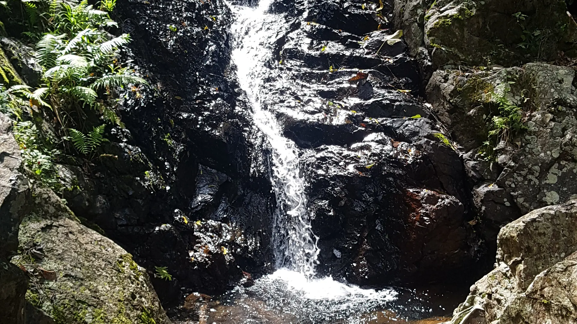 L'écoulement de la Yahoué... où s'hydrater avec eau pure et limpide