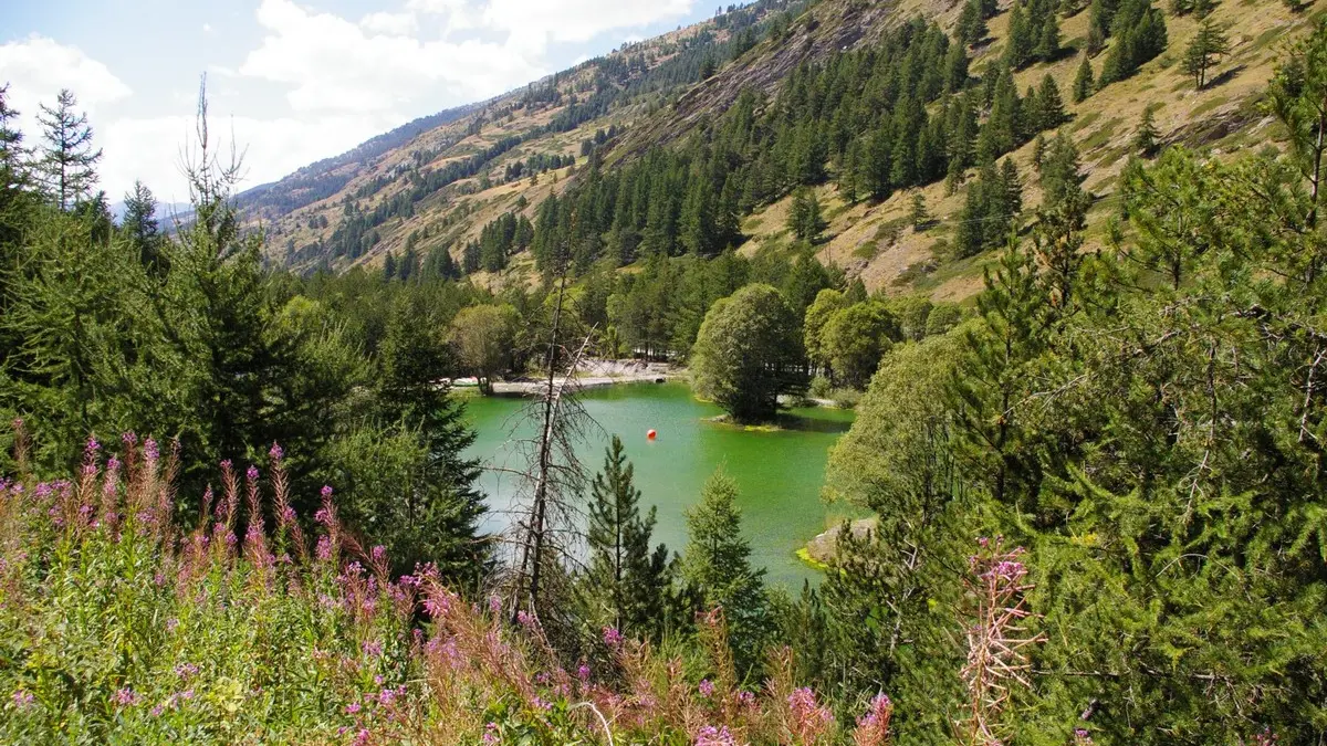 Lac du camping le Gouret