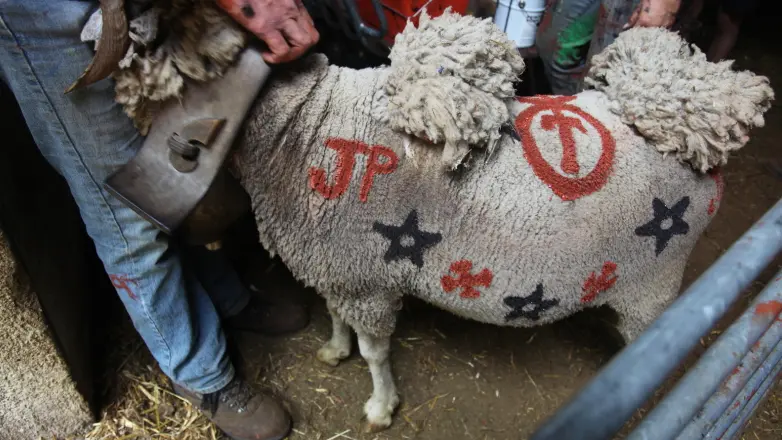 viande au détail