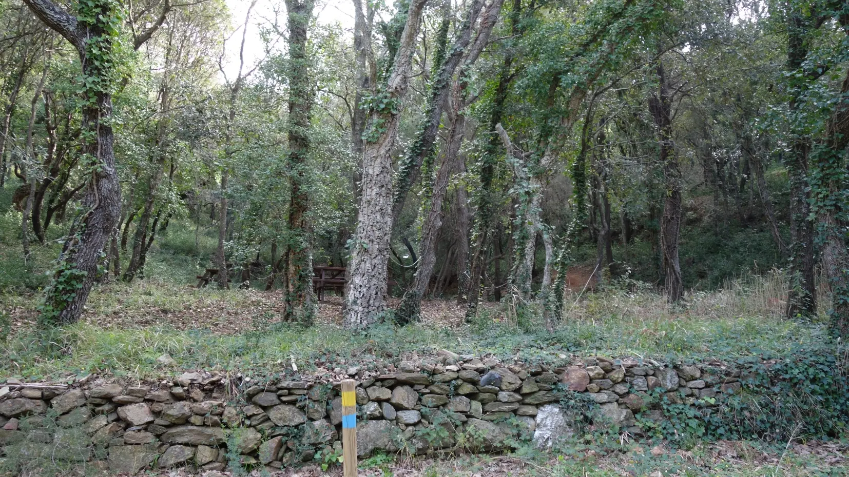 Aperçu sur les tables de pique-nique sur les Boucles de l'Arlatane