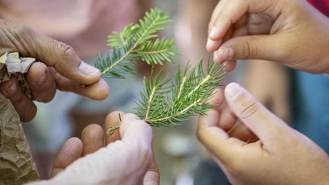 potion magique de Grandboramix