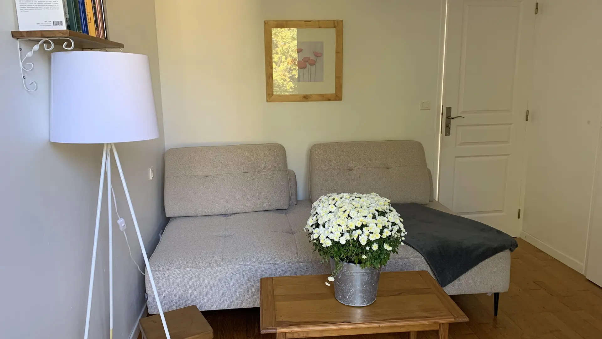 Gîtes Les Lavandes salon TV