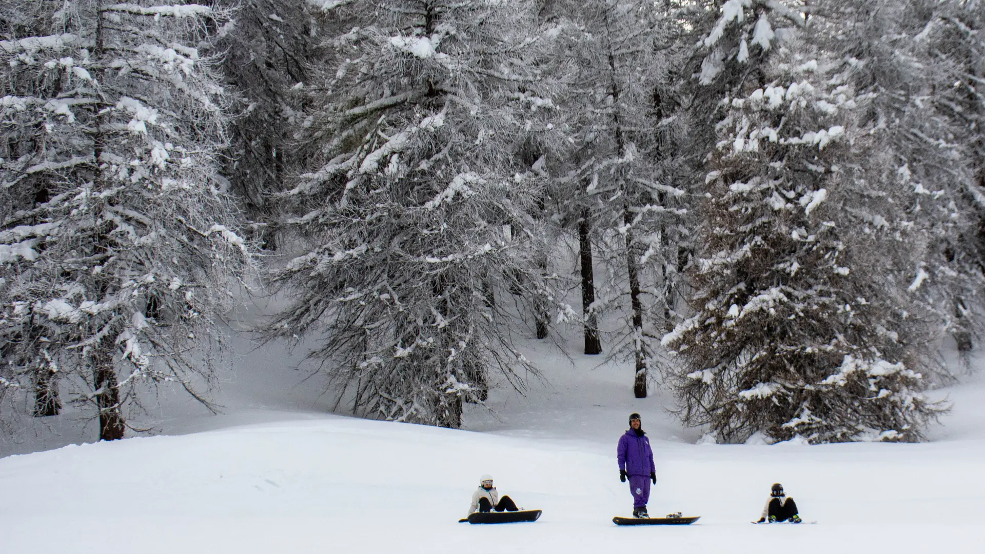 We Snowboard School