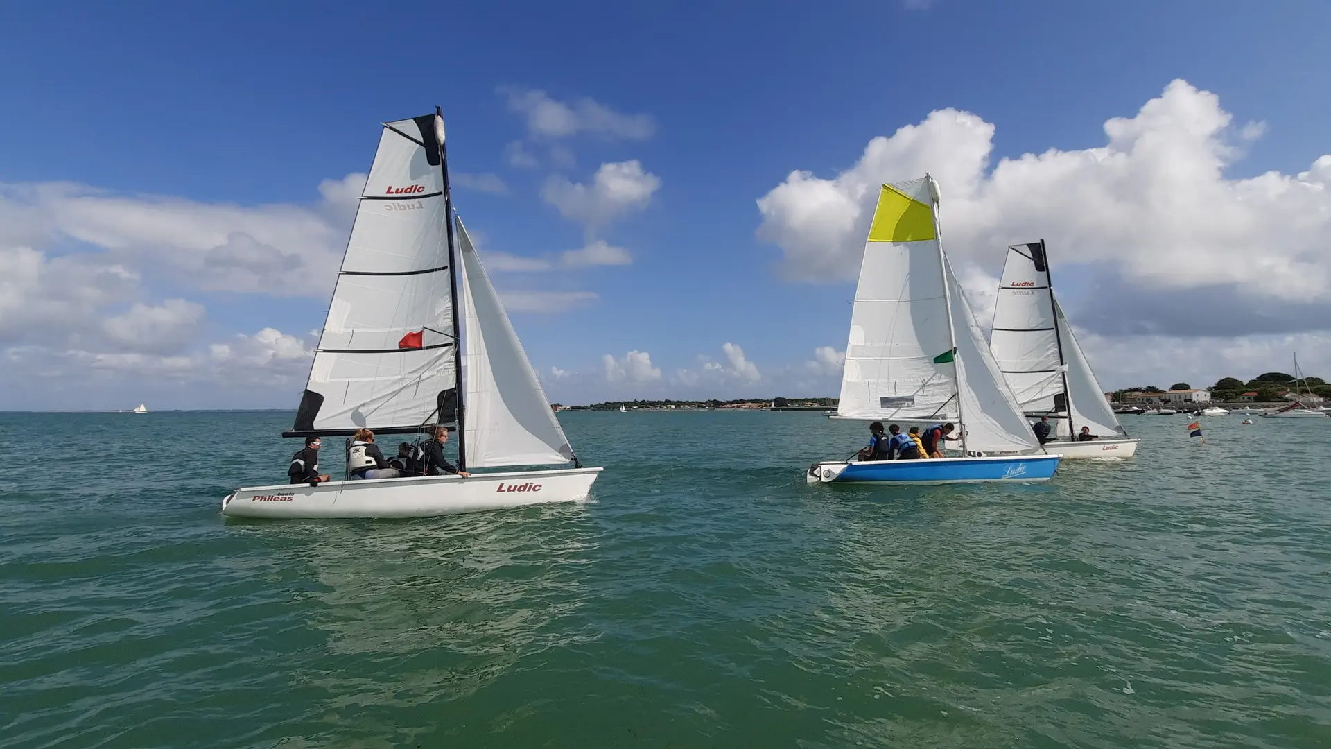 Corporate Regatta