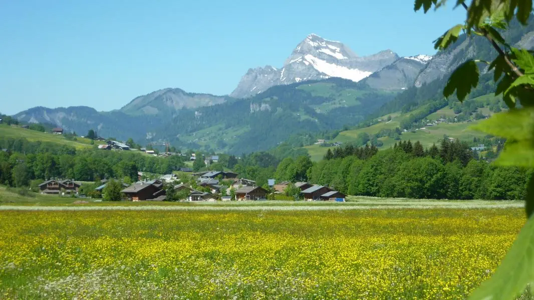 Vue depuis le studio sur le Mont-Charvin