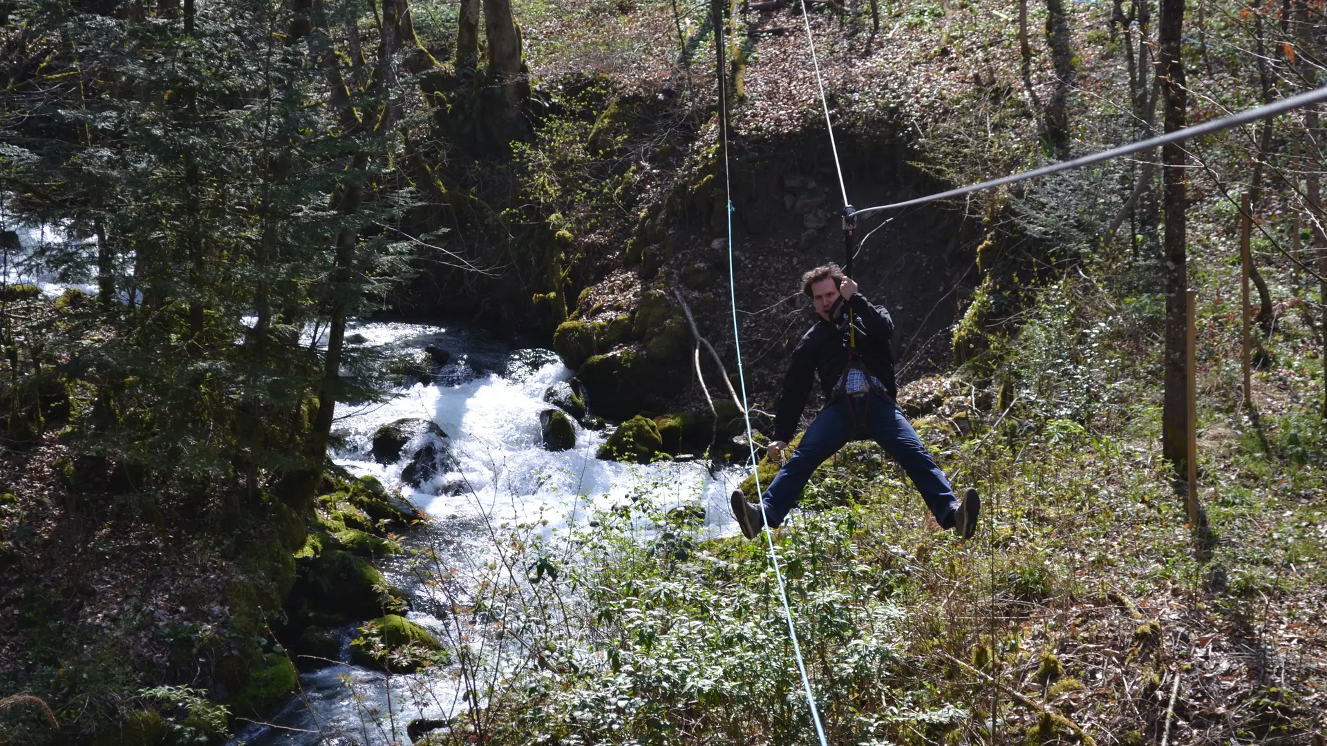 Léman Forest