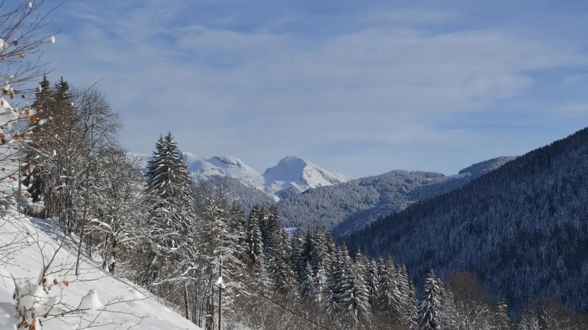 en arrivant à l'appartement