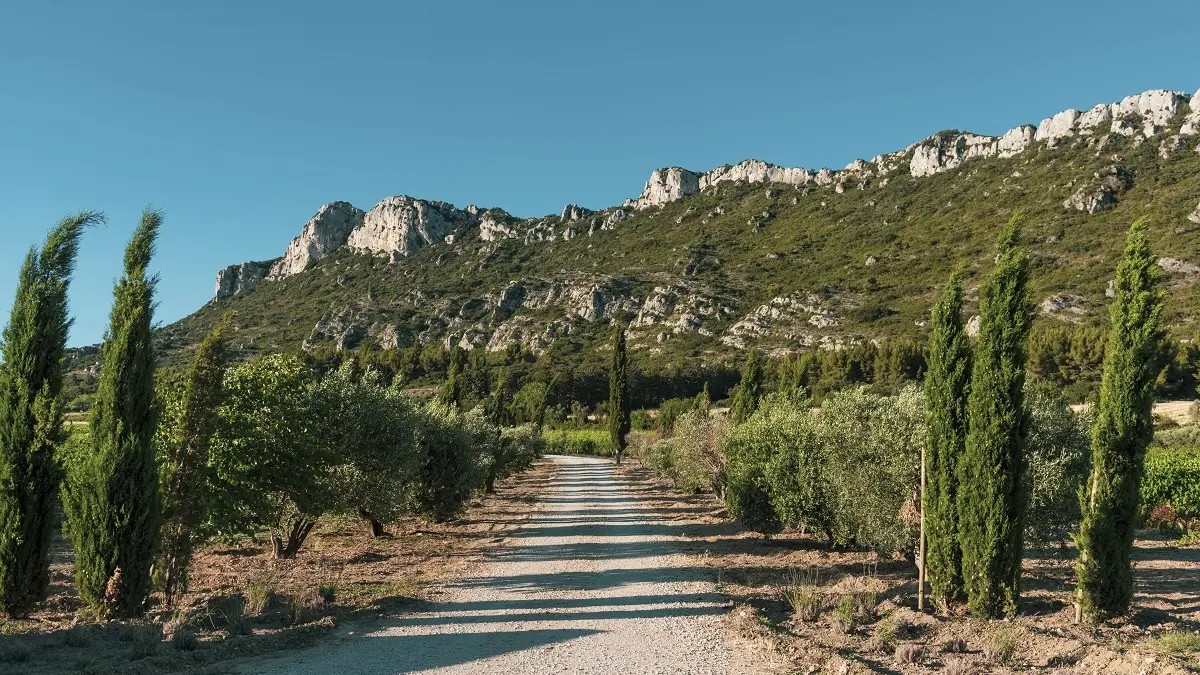 Domaine Vallon des Glauges