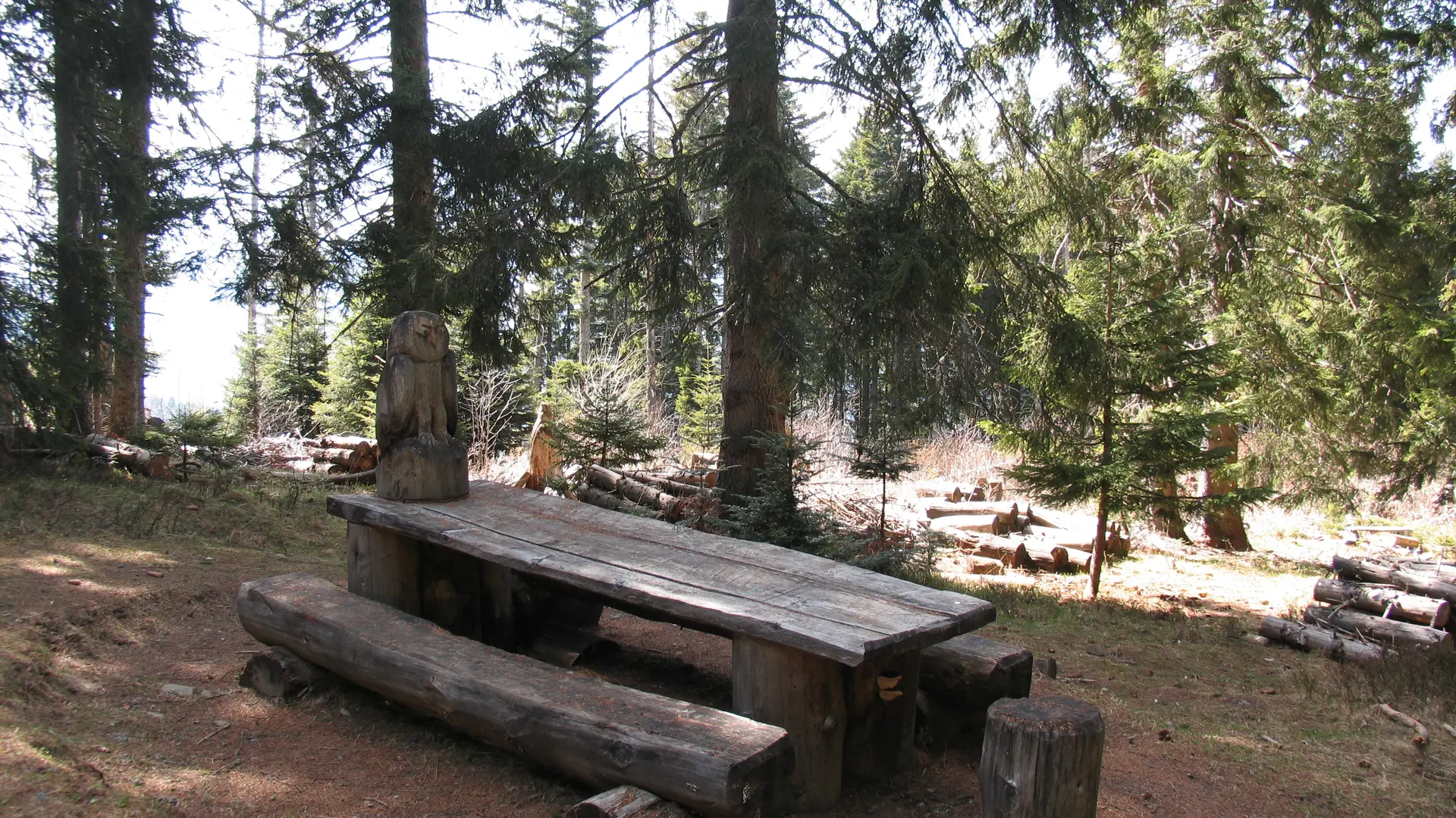 tables de pique-nique après Col de Cou direction Plaine Joux