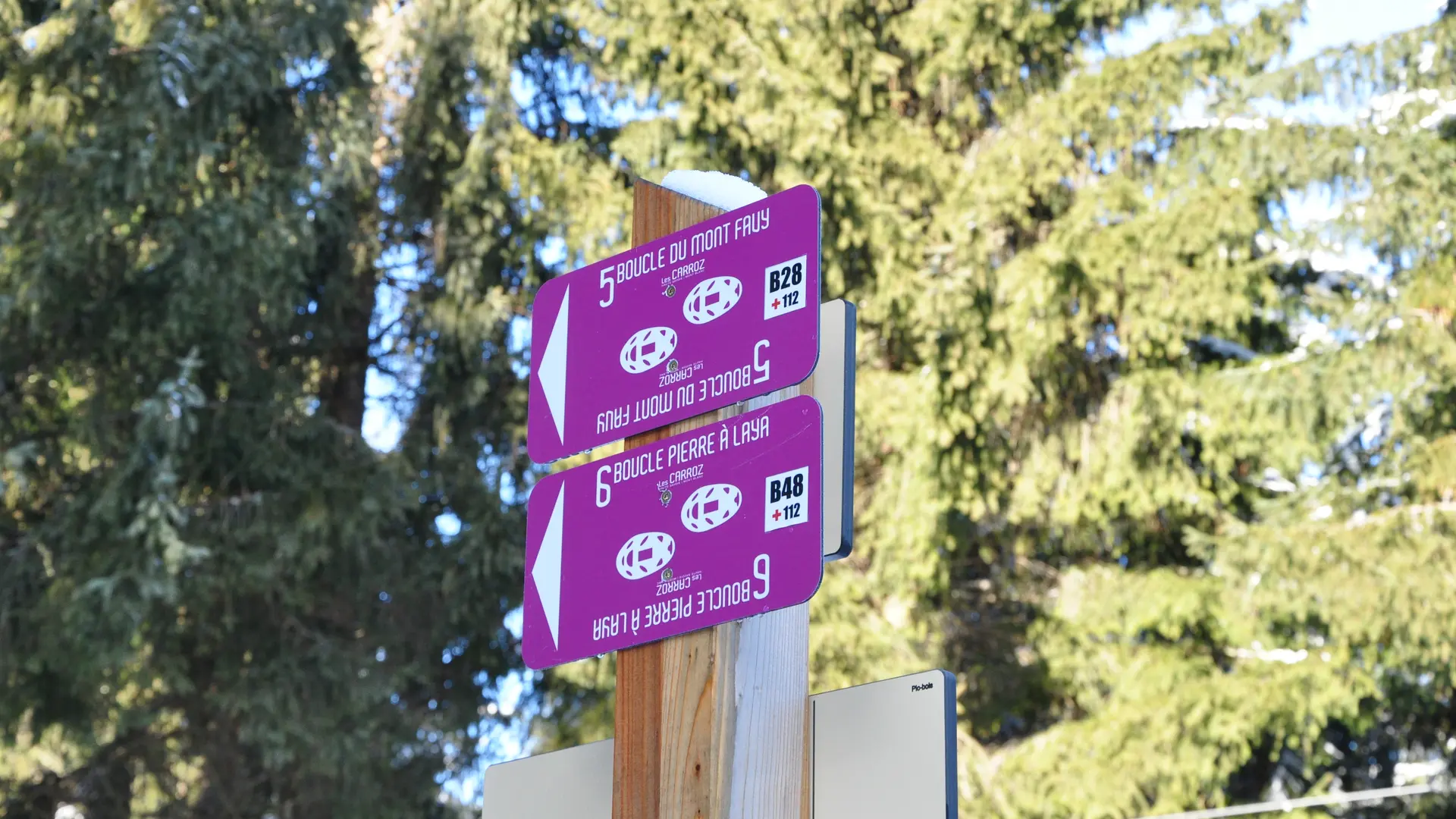 En forêt
