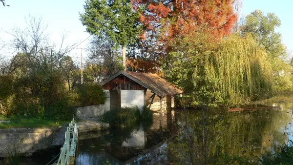 Étang Dompierre_Crédit Bourg-en-Bresse Agglomération (3)