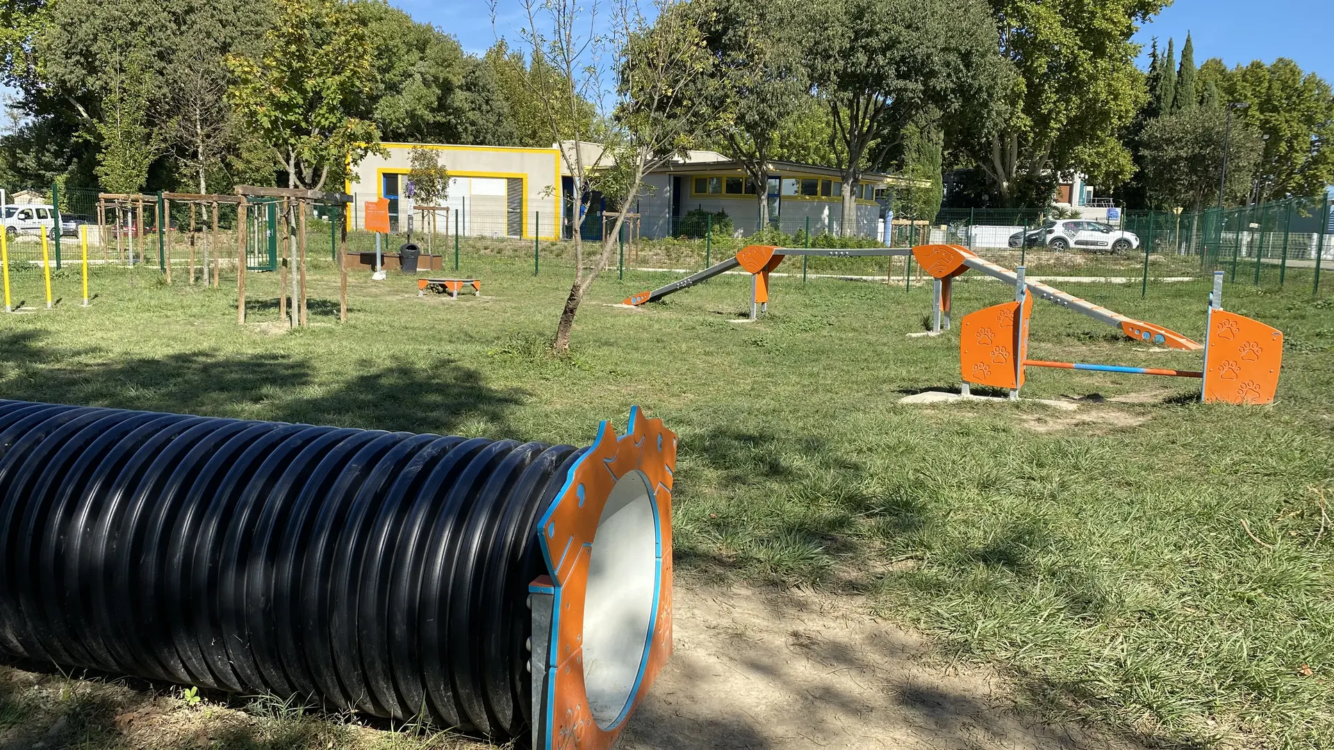 Agility : aire de jeux pour les chiens