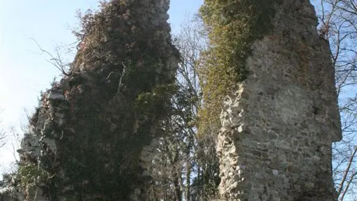 Eglise de Châtillon sur Cluses