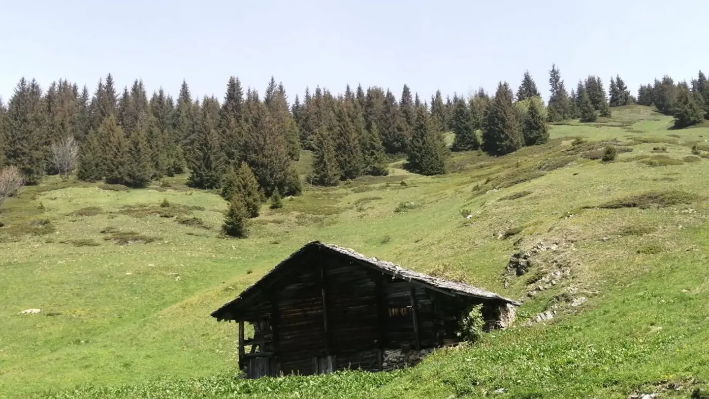 Chalet d'alpage