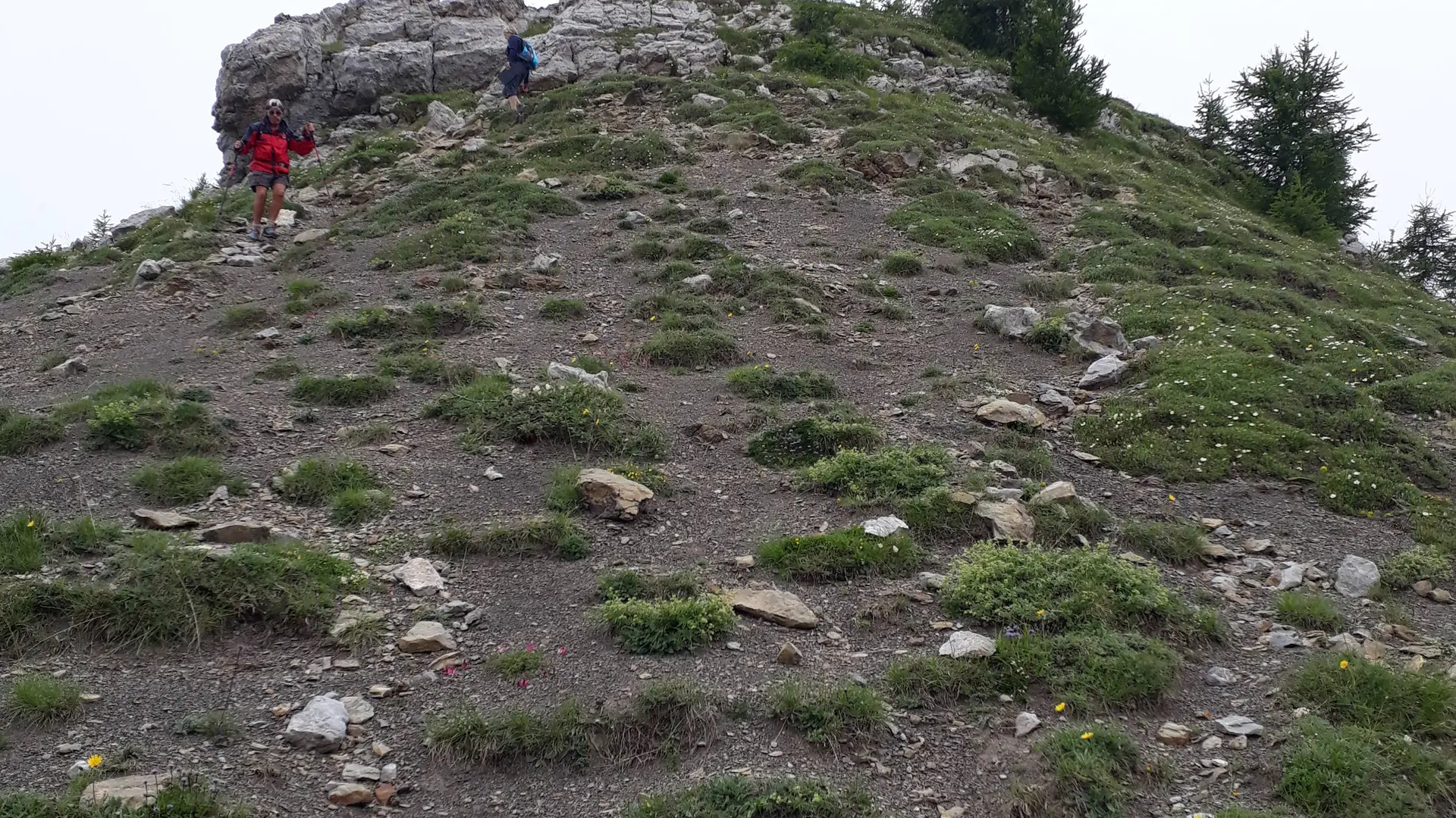 Descente entre sommet et col du Palastre