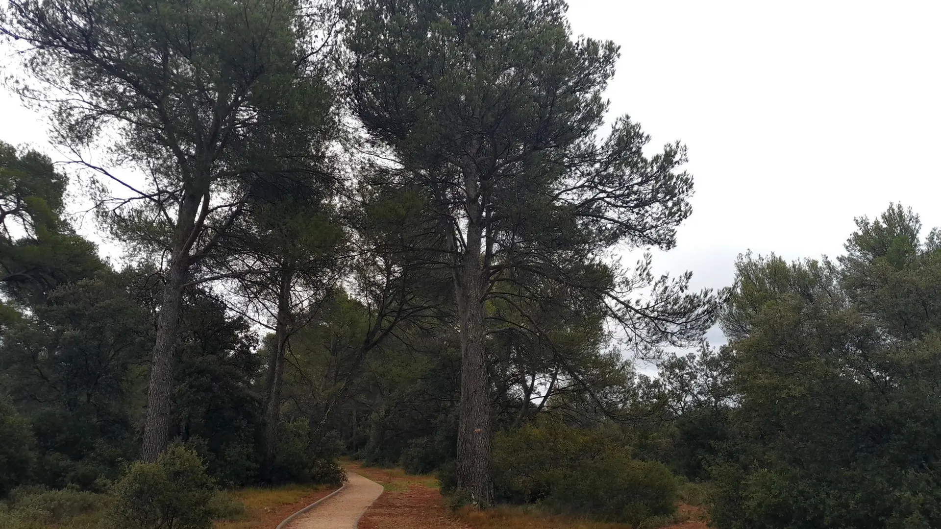Sentier TH de La Garrigue
