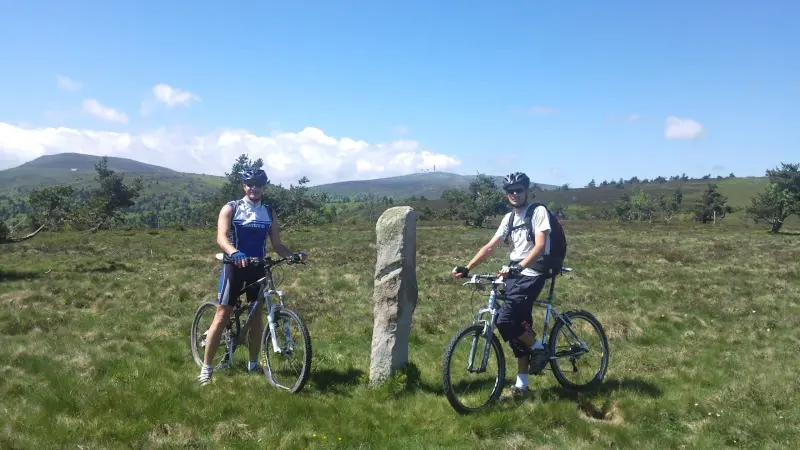 VTT